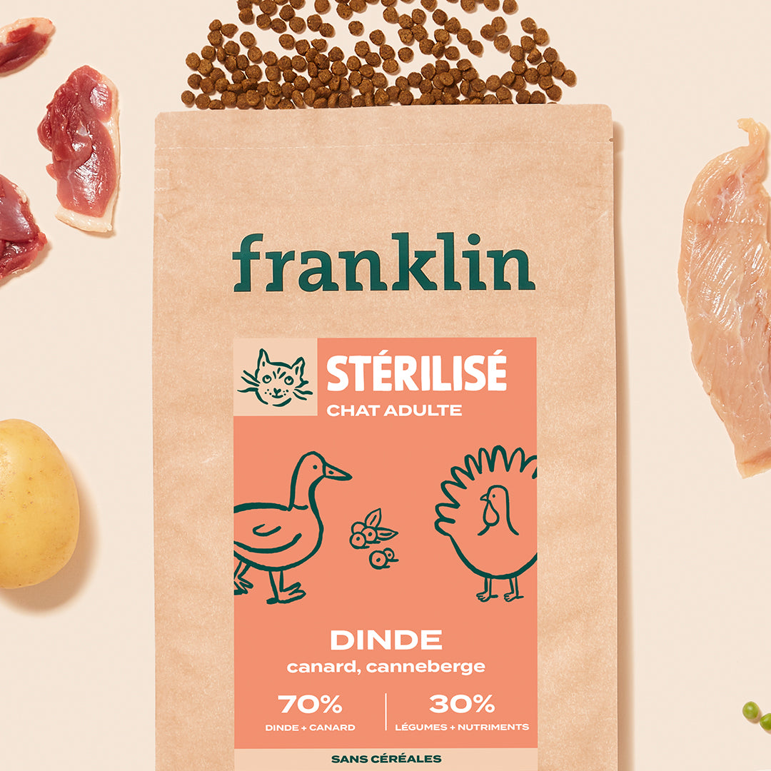 DINDE, CANARD, CANNEBERGE