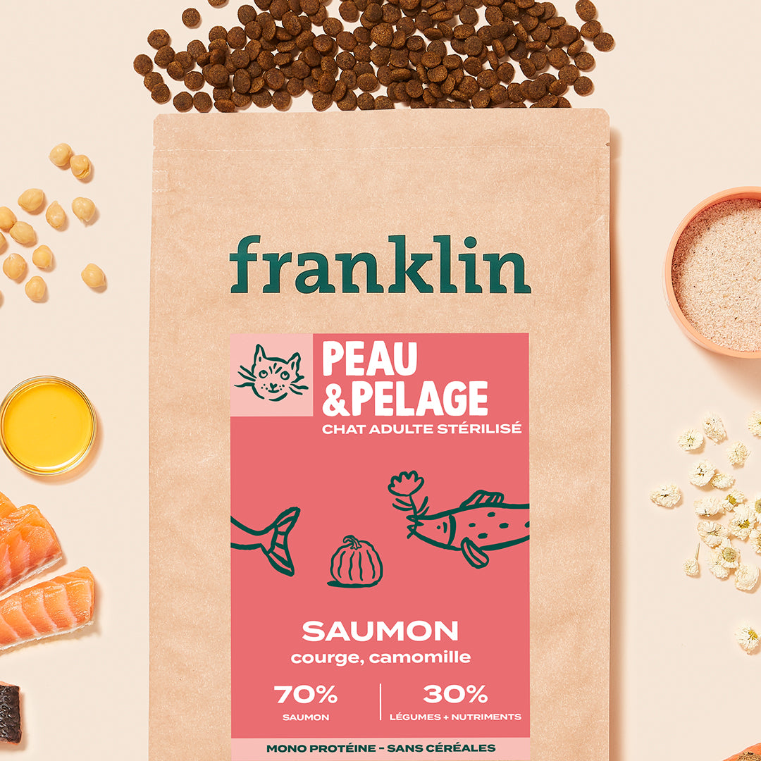 SAUMON, COURGE, CAMOMILLE