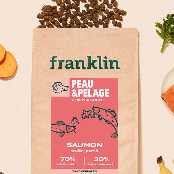 saumon-truite-persil