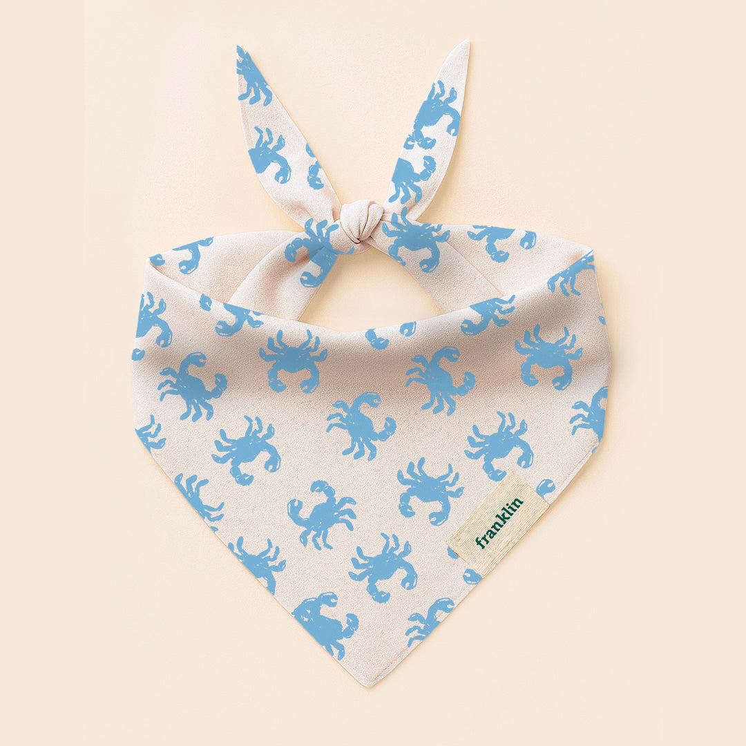 BANDANA 100% COTON CHAT