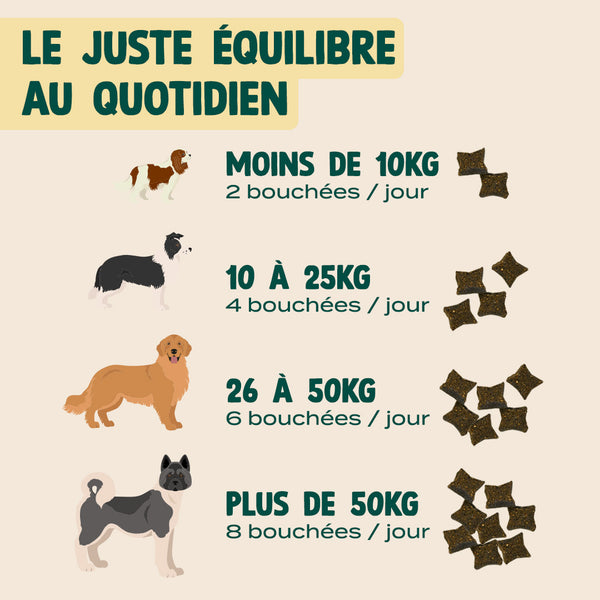 gummies-demangeaisons