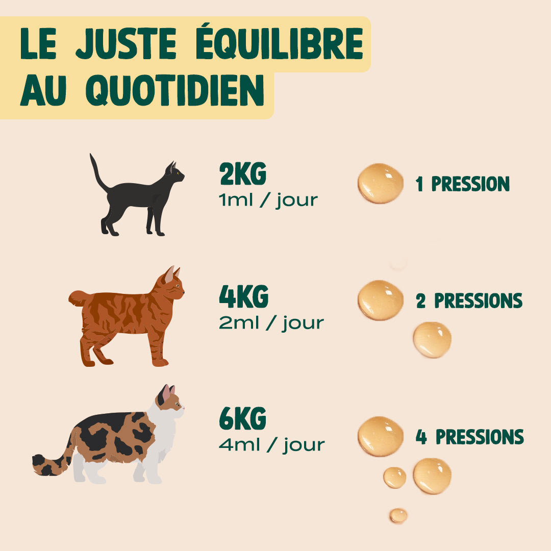 HUILE DE SAUMON