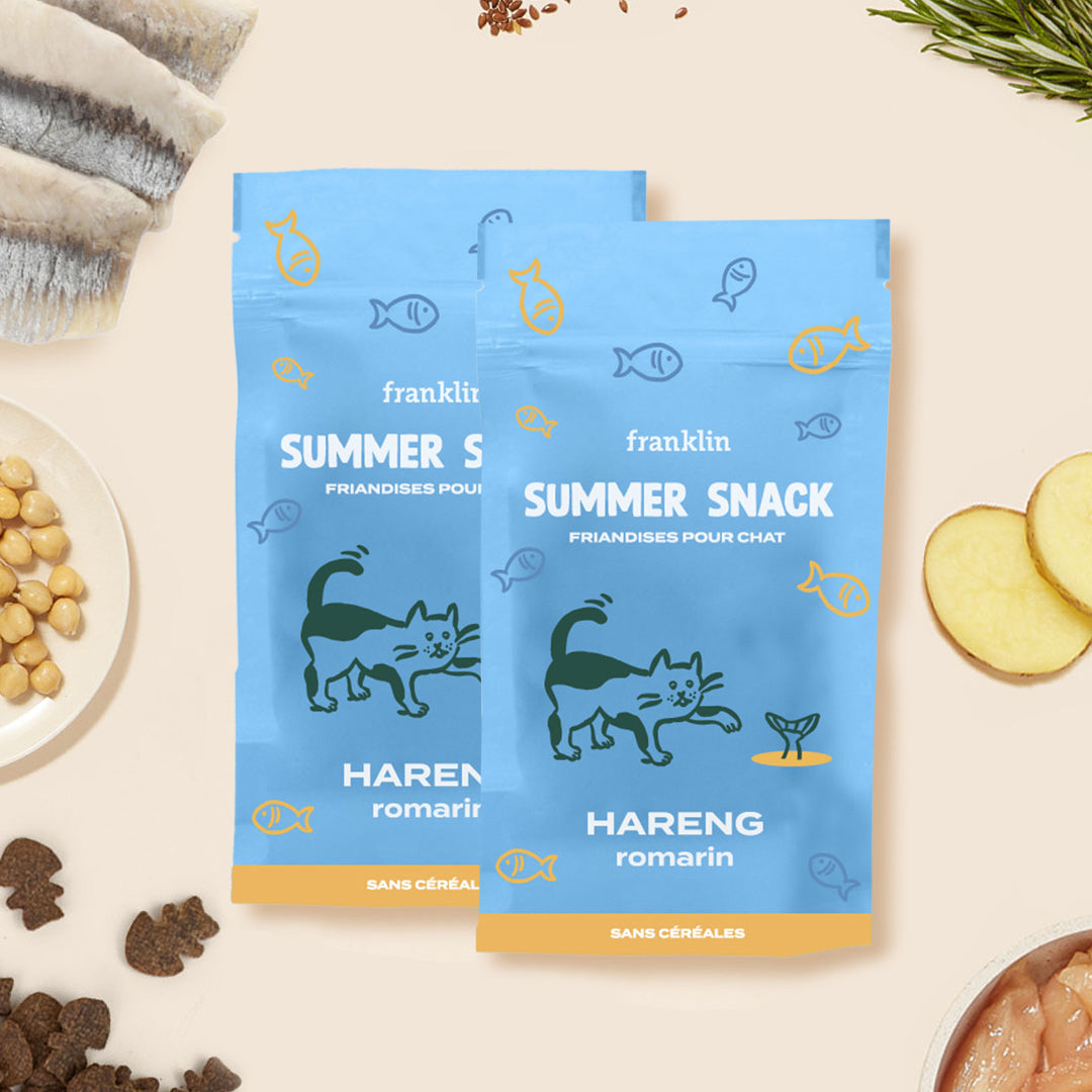 DUO DE SUMMER SNACKS
