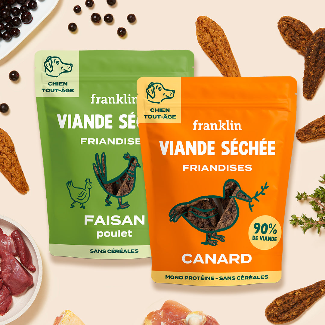 DUO DE FRIANDISES - VIANDE SÉCHÉE
