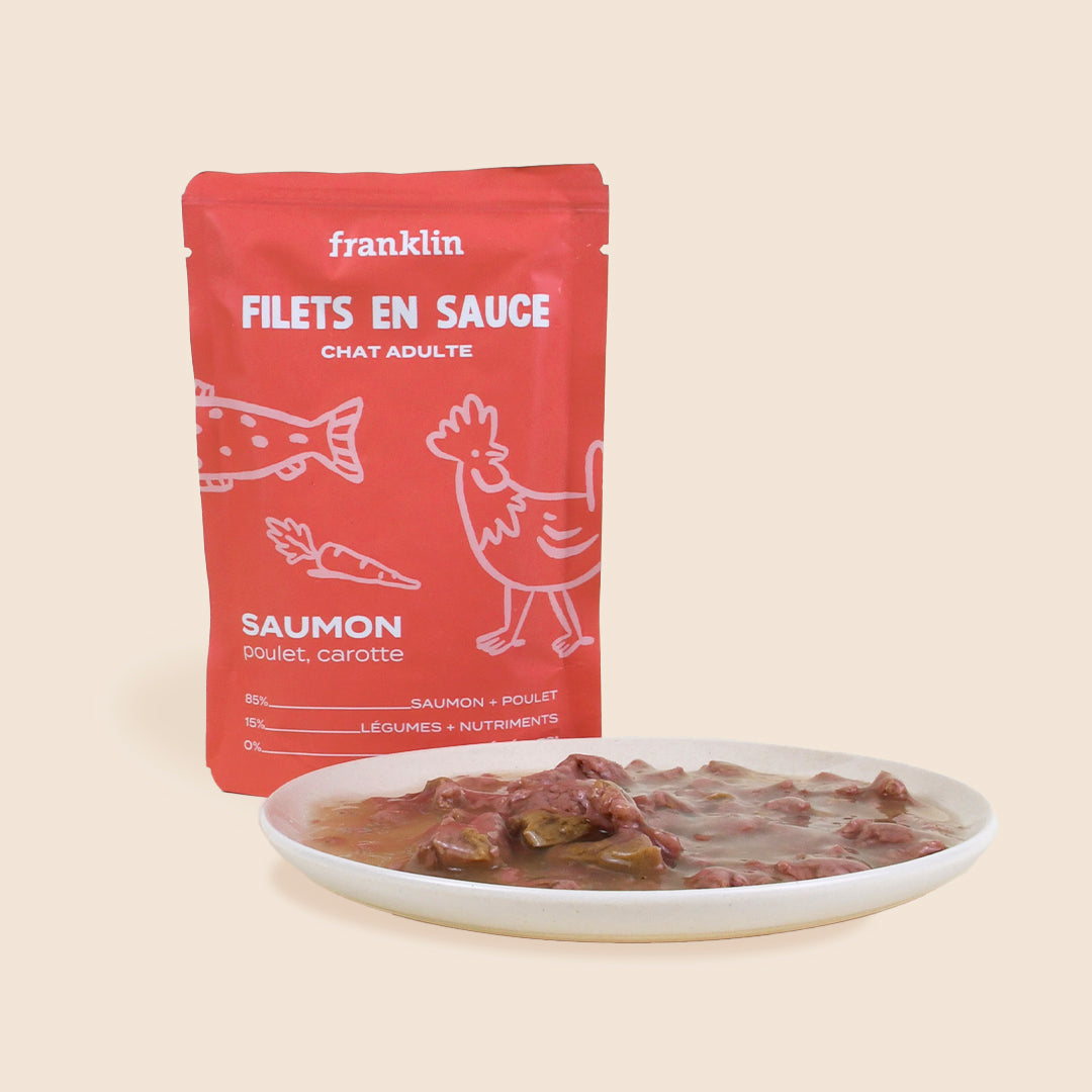 LOT DÉCOUVERTE SACHETS EN SAUCE - 3 SAVEURS