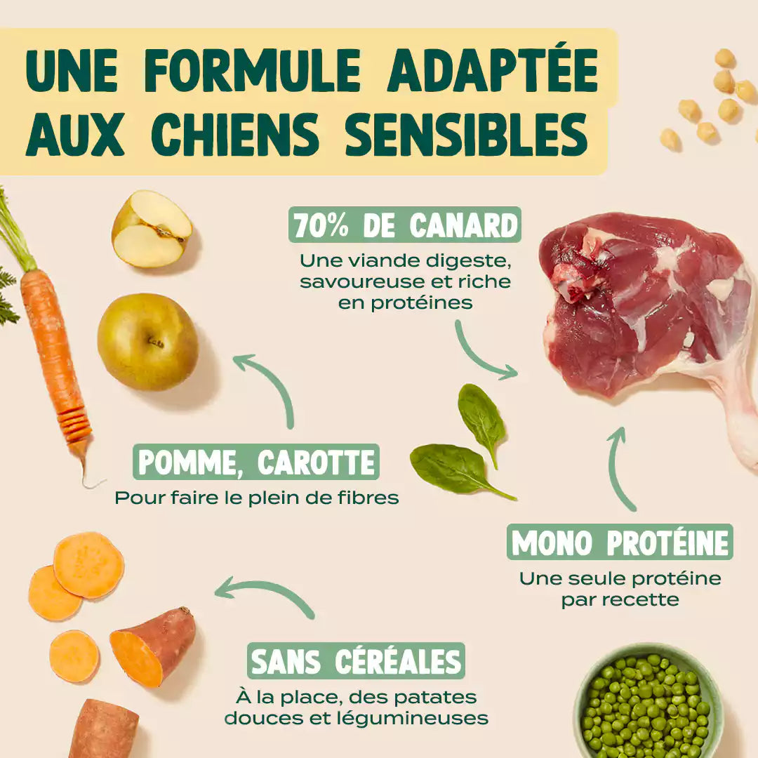 CANARD, POMME, CAROTTE