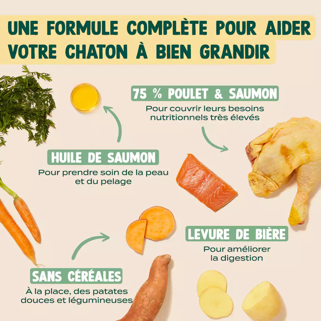 POULET, SAUMON, CAROTTE