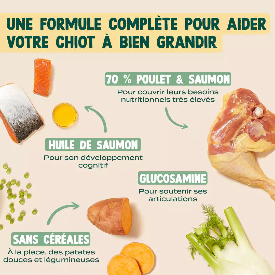 POULET, SAUMON, FENOUIL