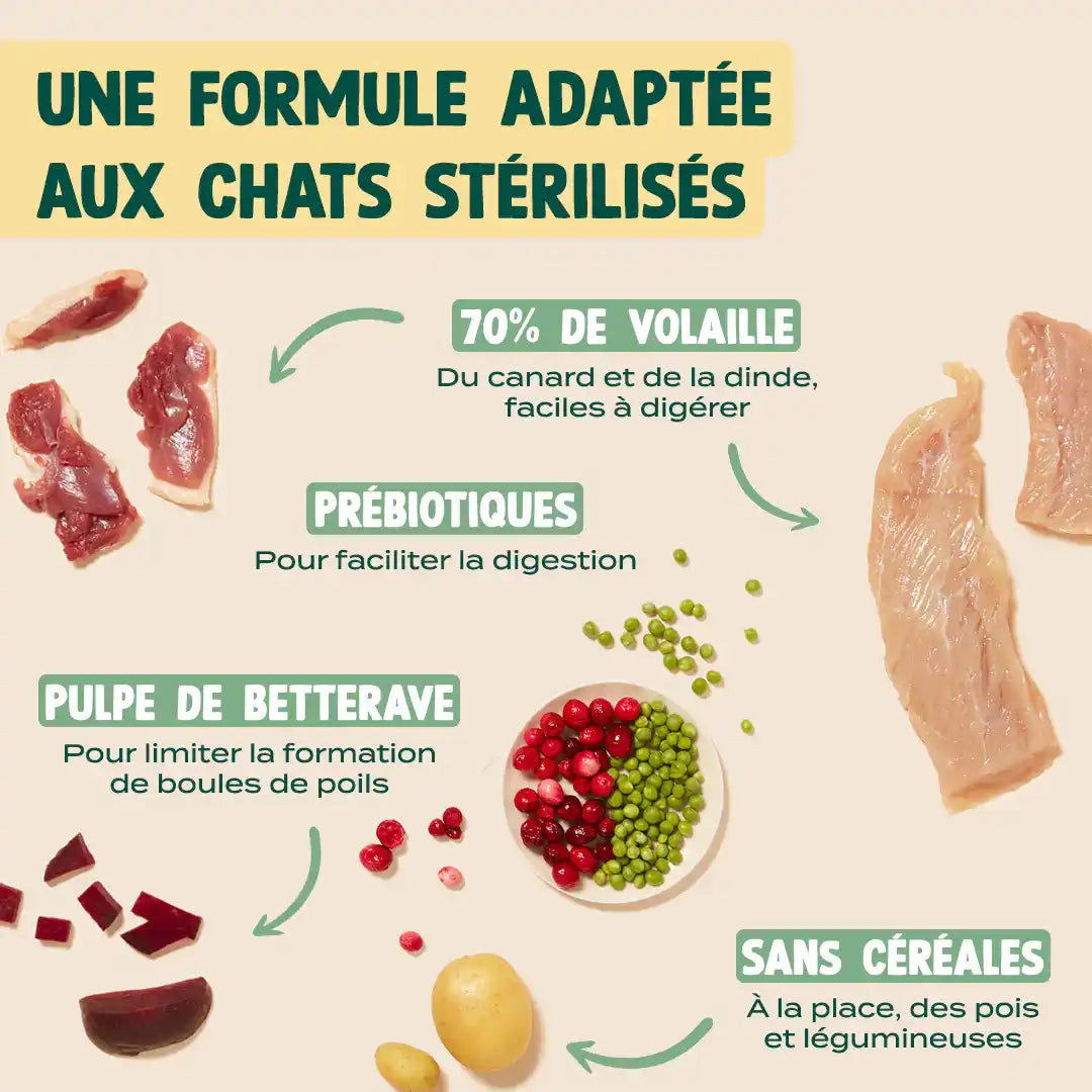 DINDE, CANARD, CANNEBERGE