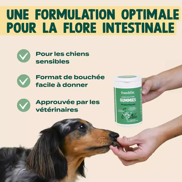 gummies-probiotiques