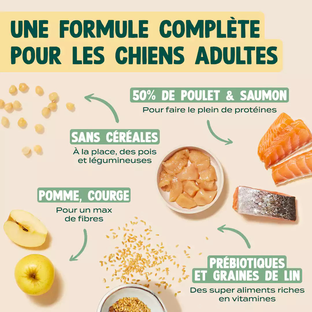 POULET, SAUMON, POMME