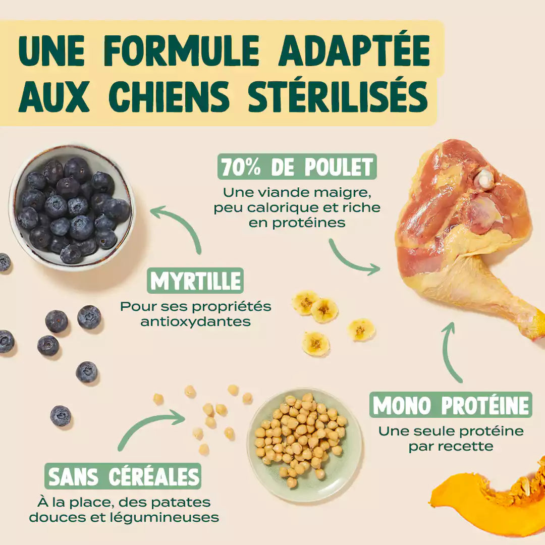 POULET, COURGE, MYRTILLE