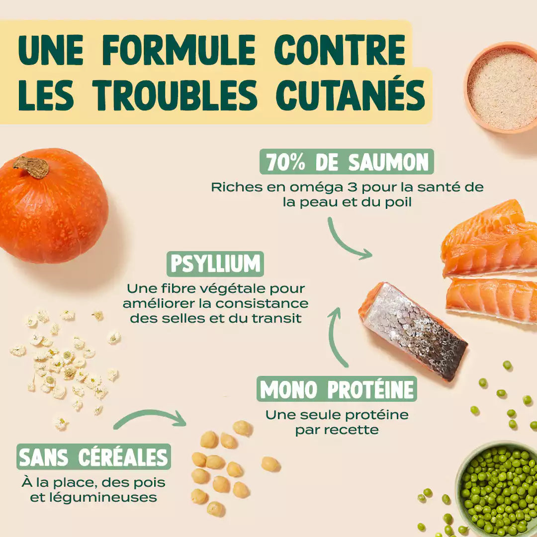 SAUMON, COURGE, CAMOMILLE