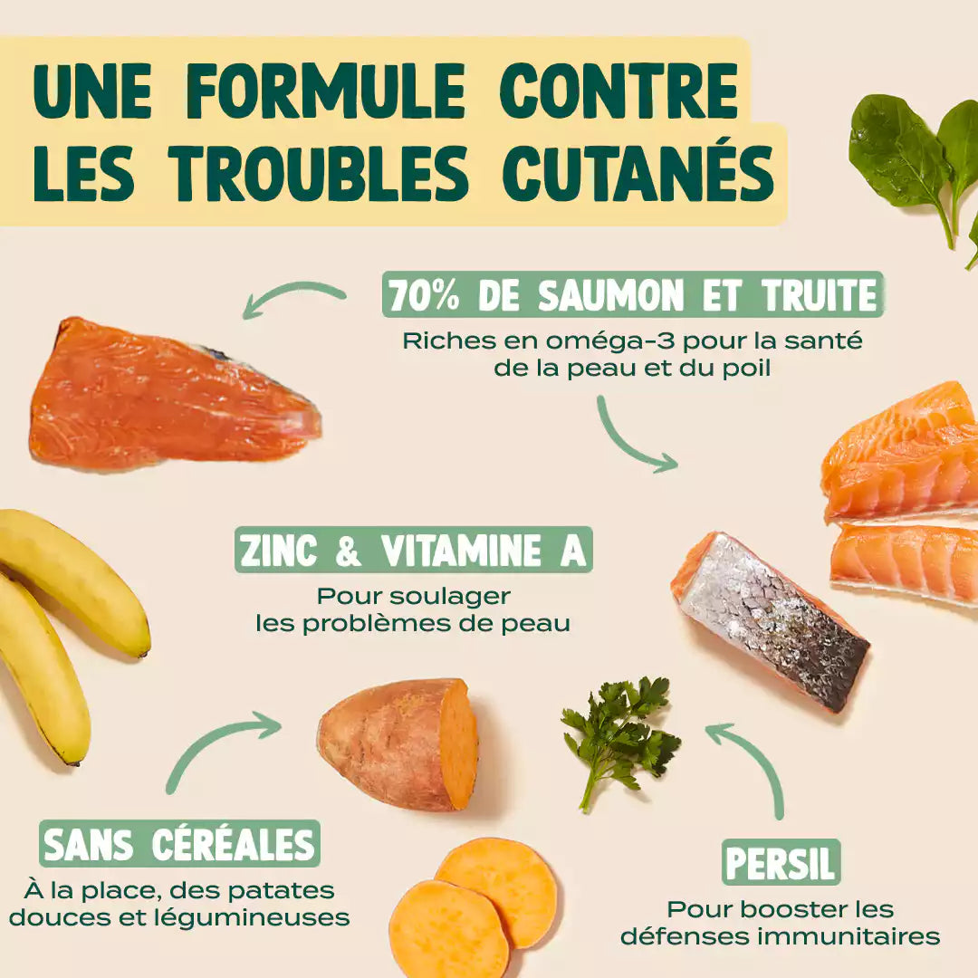 SAUMON, TRUITE, PERSIL