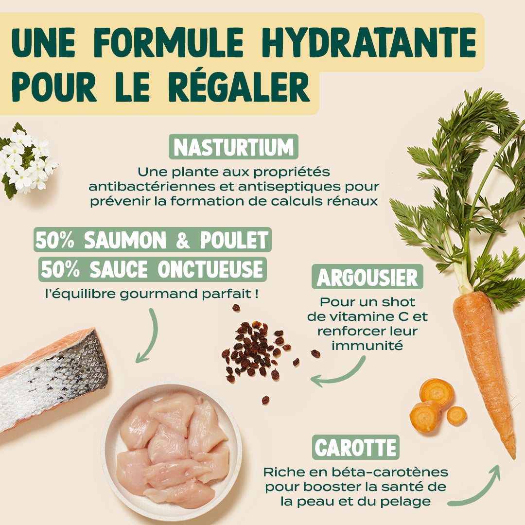 SAUMON, POULET, CAROTTE