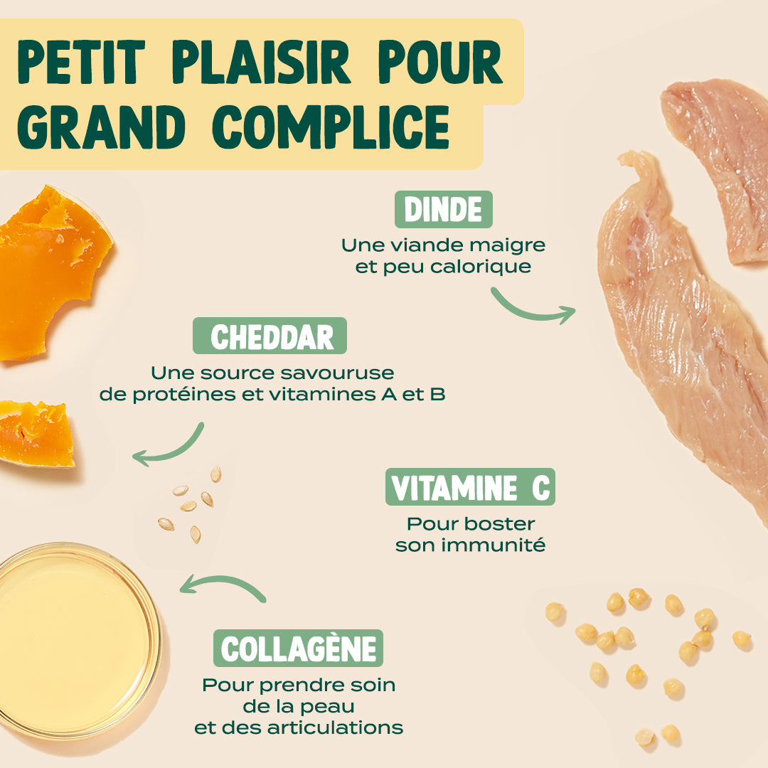 NOËL GOURMAND - DINDE, CHEDDAR