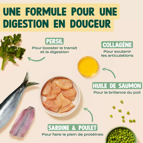 mini-snack-digestion