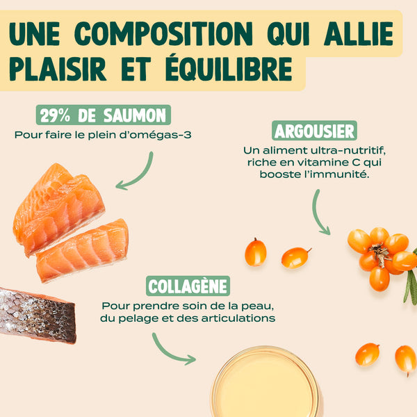 super-snack-saumon-collagene