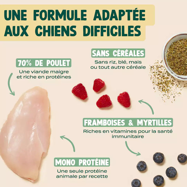 poulet-framboise-origan