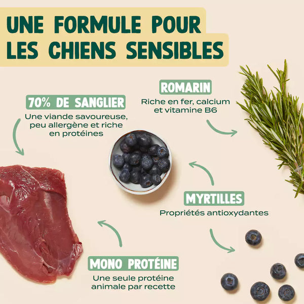 sanglier-myrtille-romarin