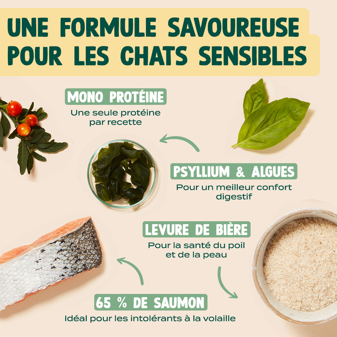 SAUMON, BASILIC