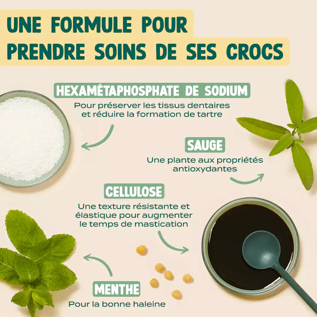 STICKS MENTHE, SAUGE