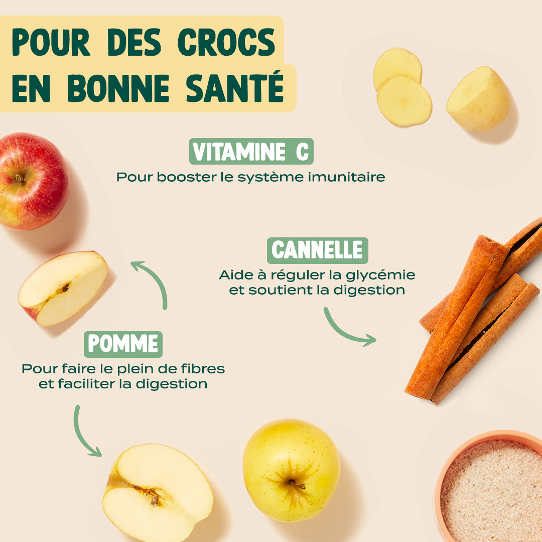 FLOCONS D'HIVER - POMME, CANNELLE