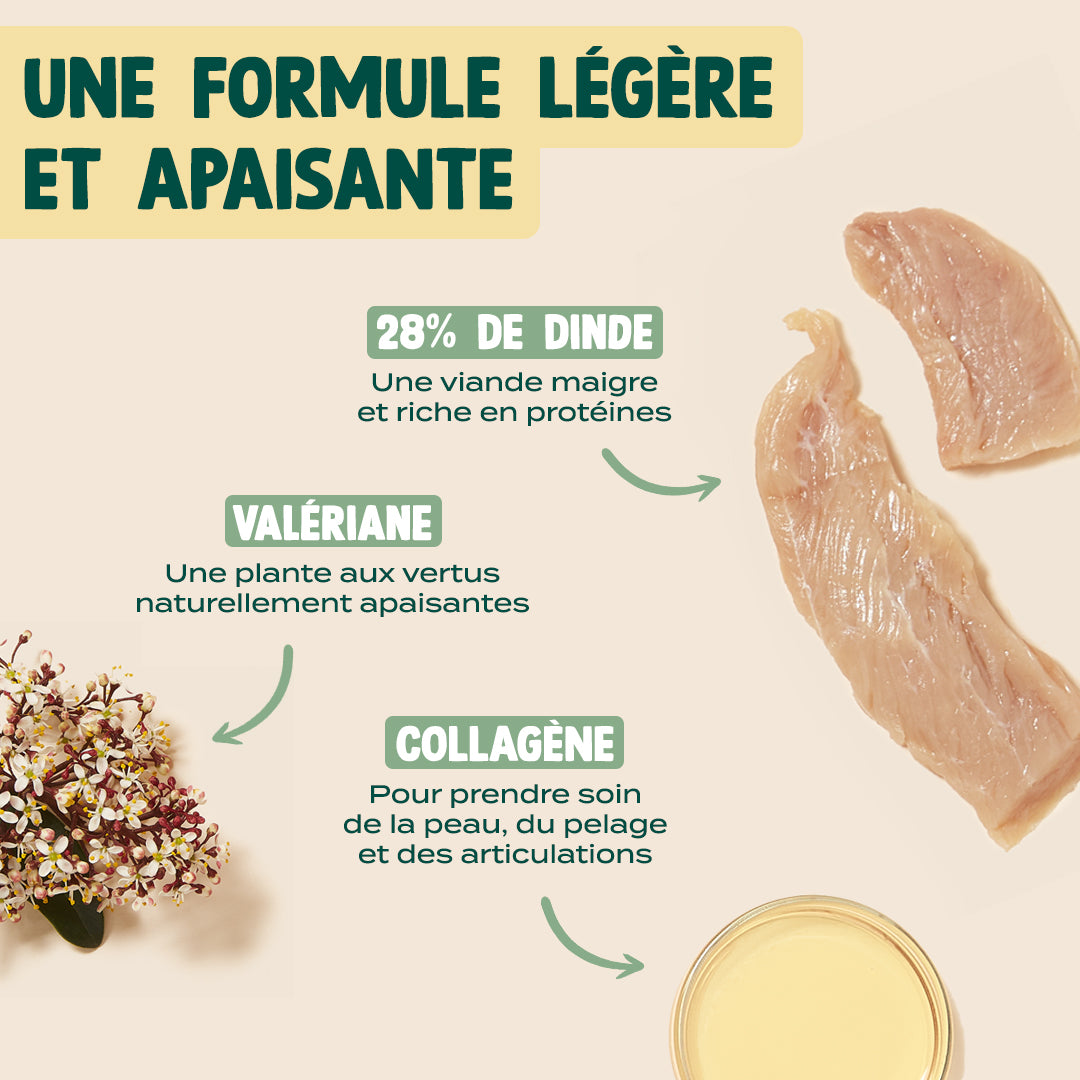 SUMMER SNACK DINDE, VALÉRIANE