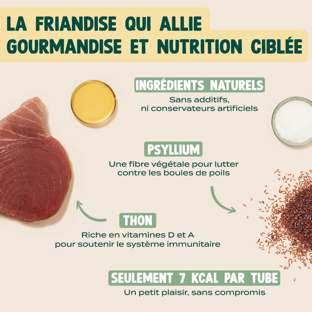 MINI TUBES CRÉMEUX THON