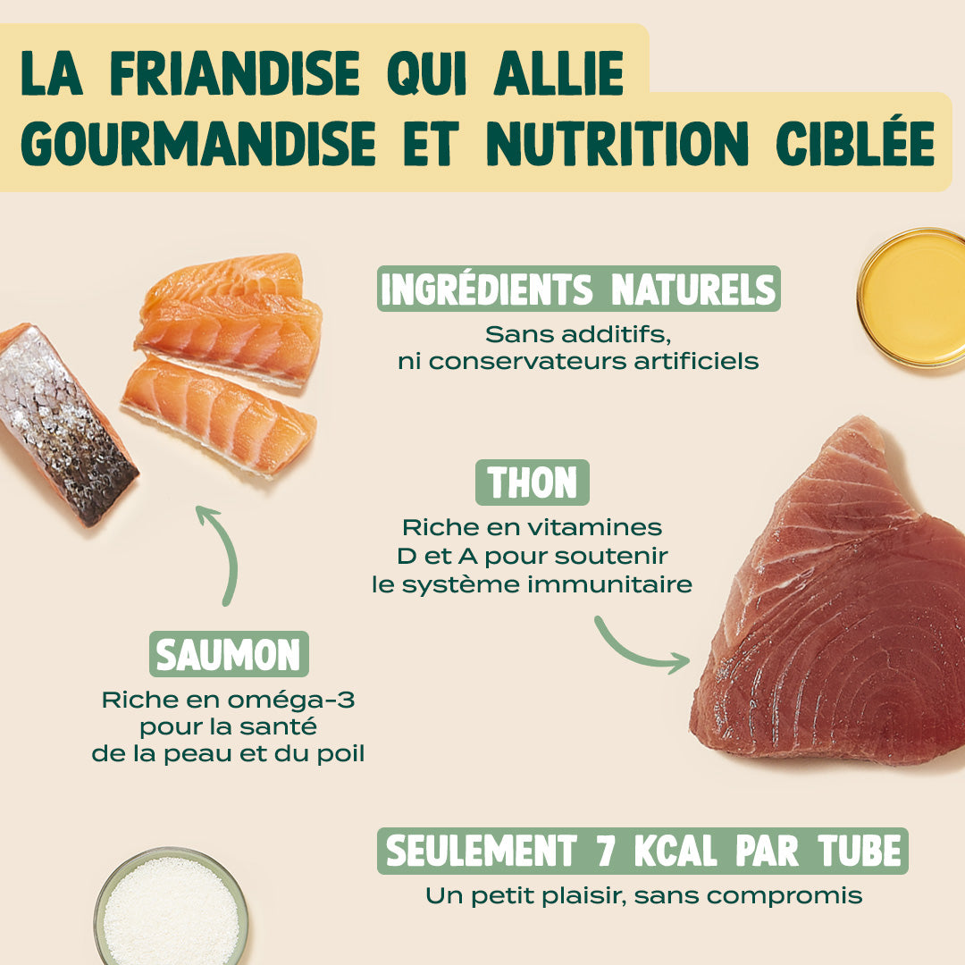 MINI TUBES CRÉMEUX THON, SAUMON