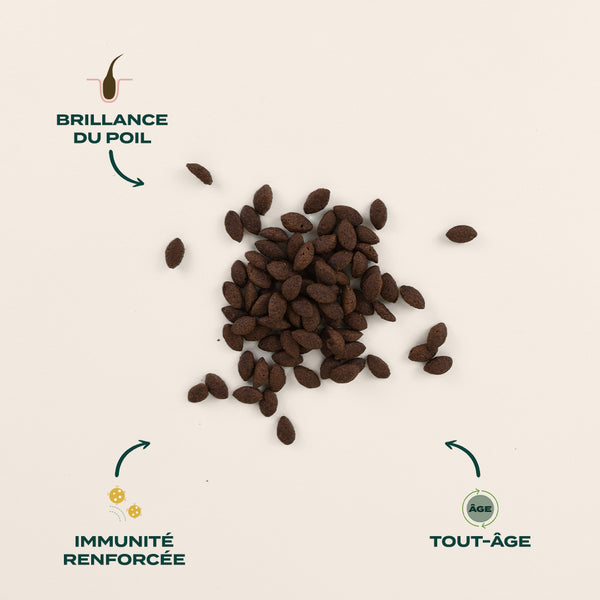 douceurs-festives