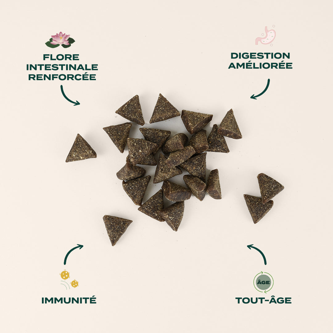 RÉVEILLON GOURMAND