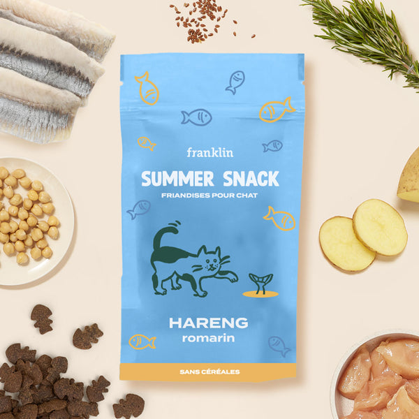 summer-snack-hareng-romarin