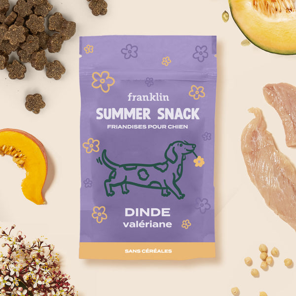 summer-snack-dinde-valeriane