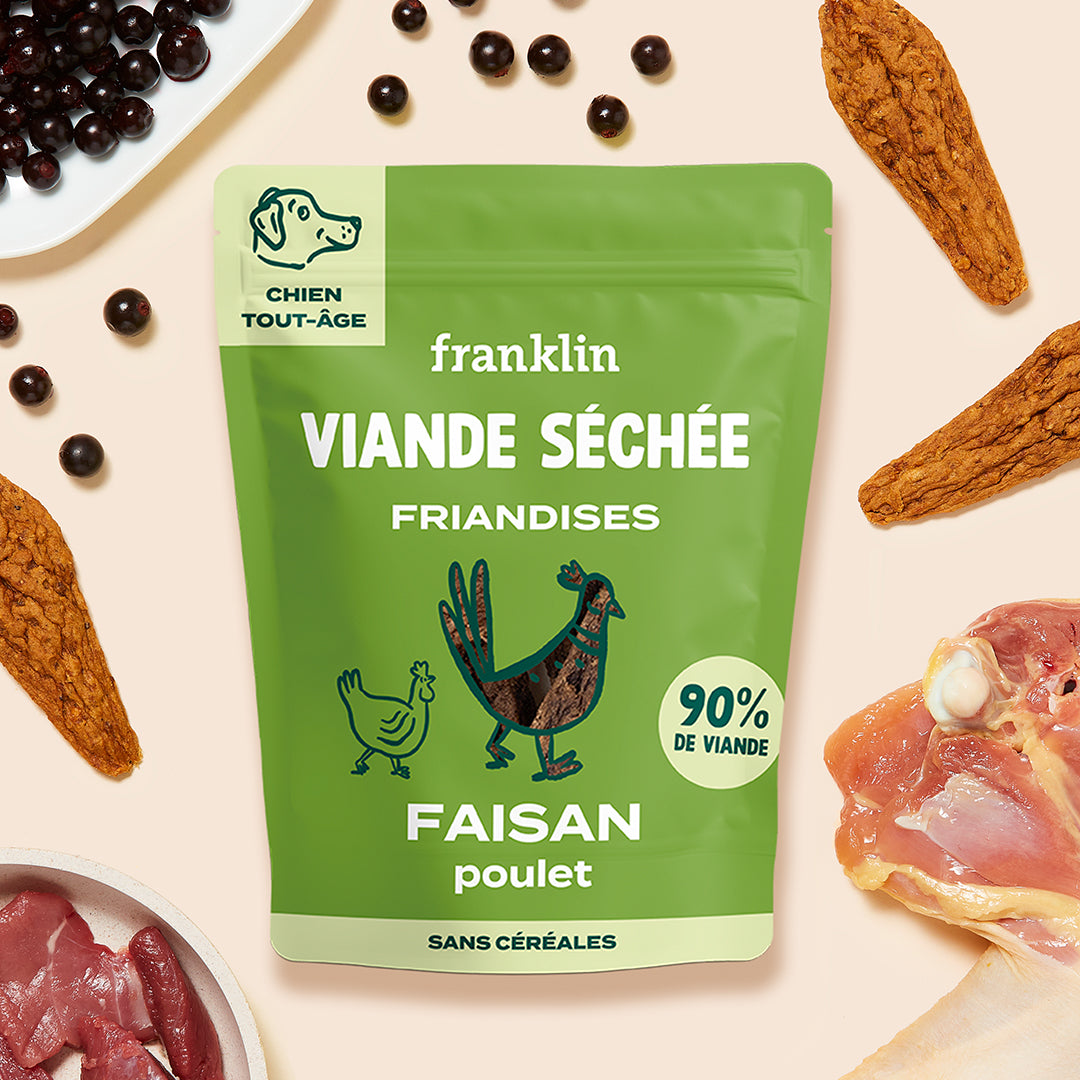 FAISAN SÉCHÉ