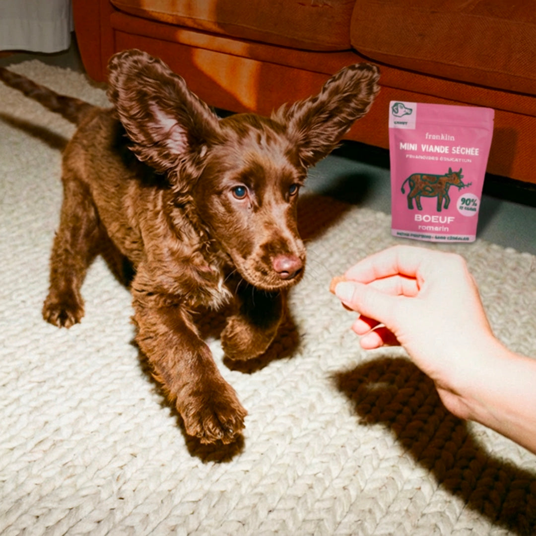 MINI VIANDE SÉCHÉE - BOEUF, ROMARIN