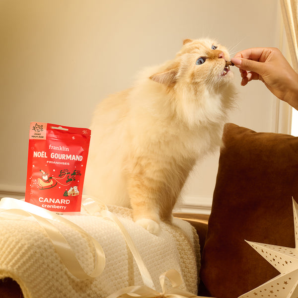 noel-gourmand-canard-cranberry