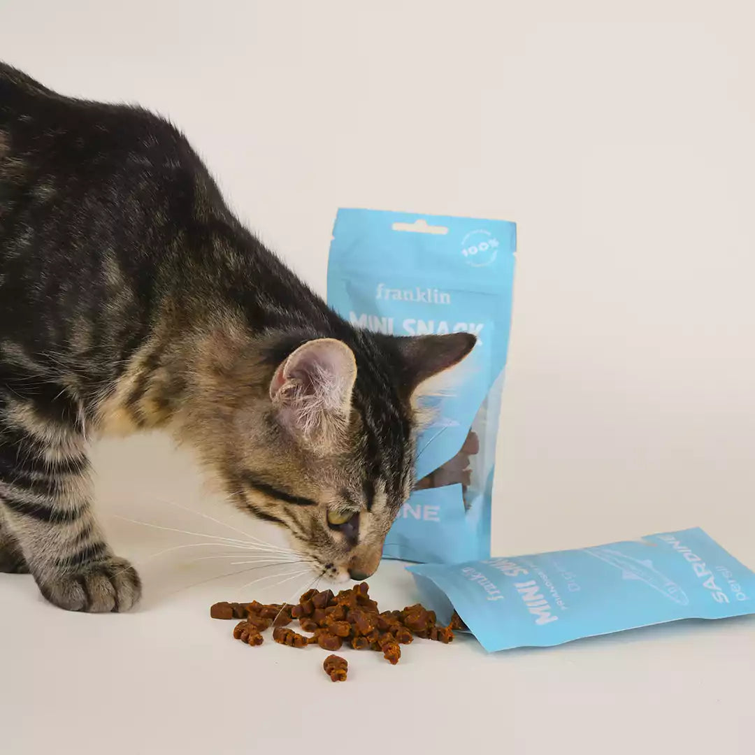 MINI SNACK DIGESTION