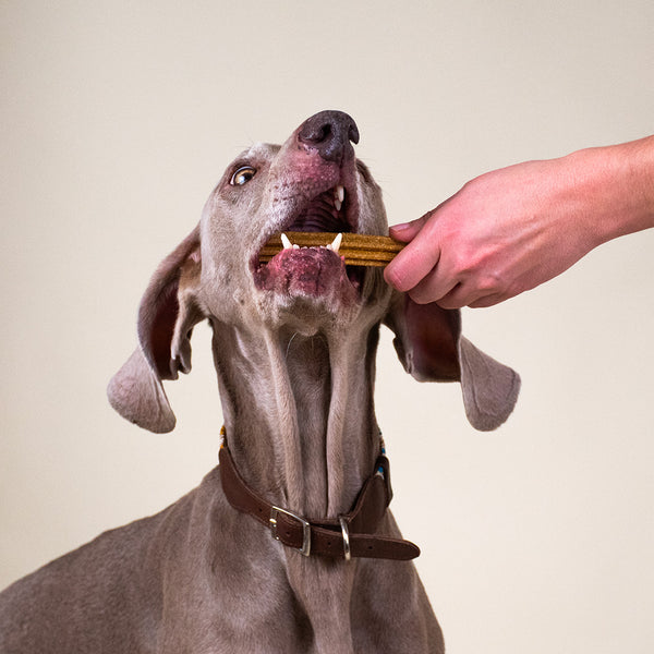 sticks-au-beurre-de-cacahuetes