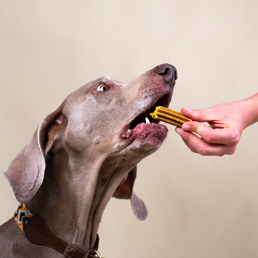 STICKS MENTHE, SAUGE