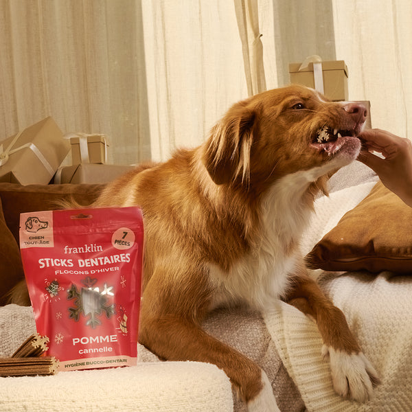 flocons-d-39-hiver-pomme-cannelle