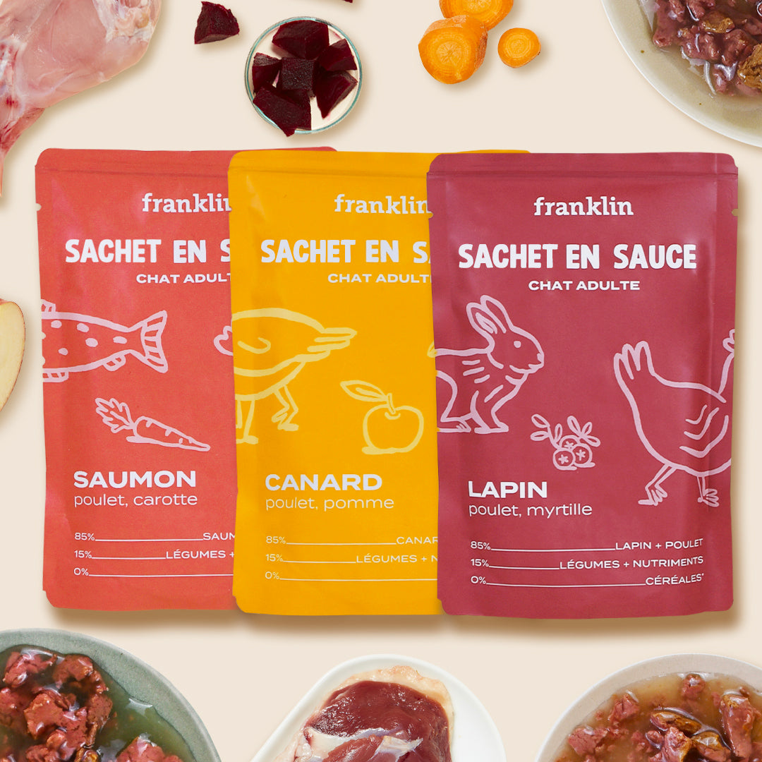 LOT DÉCOUVERTE SACHETS EN SAUCE - 3 SAVEURS