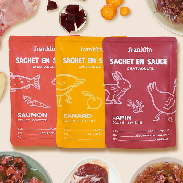 lot-decouverte-sachets-en-sauce-3-saveurs