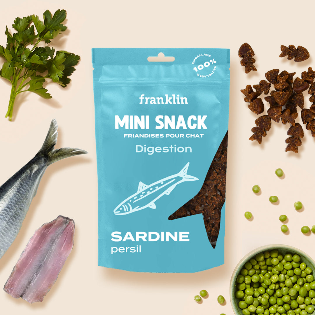 MINI SNACK DIGESTION