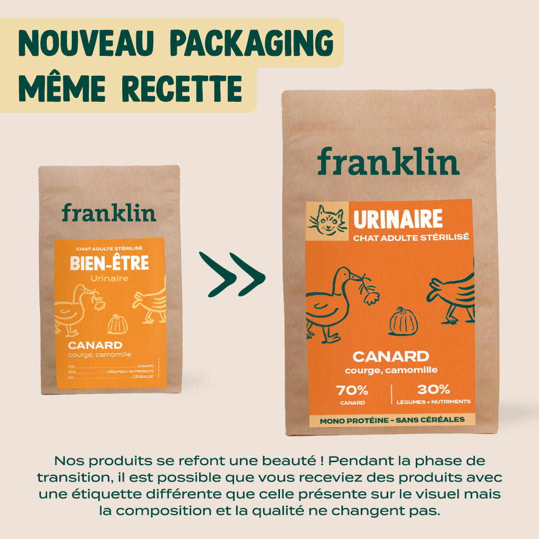 CANARD, COURGE, CAMOMILLE