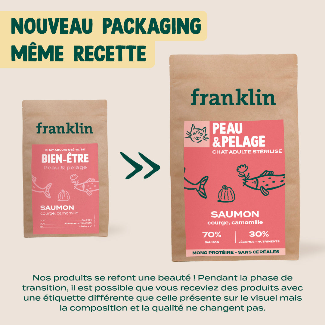 SAUMON, COURGE, CAMOMILLE