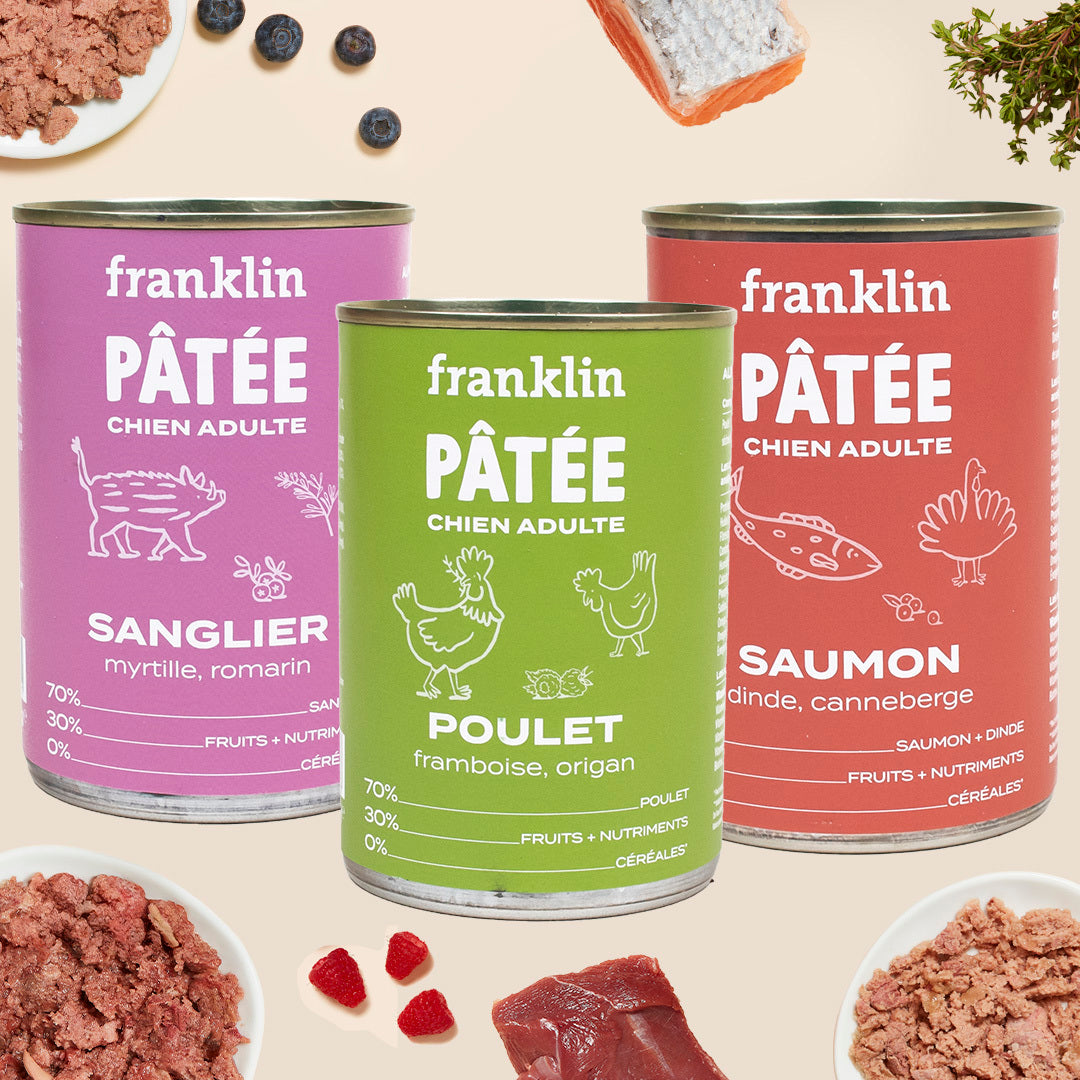 LOT DÉCOUVERTE PÂTÉES - 3 SAVEURS