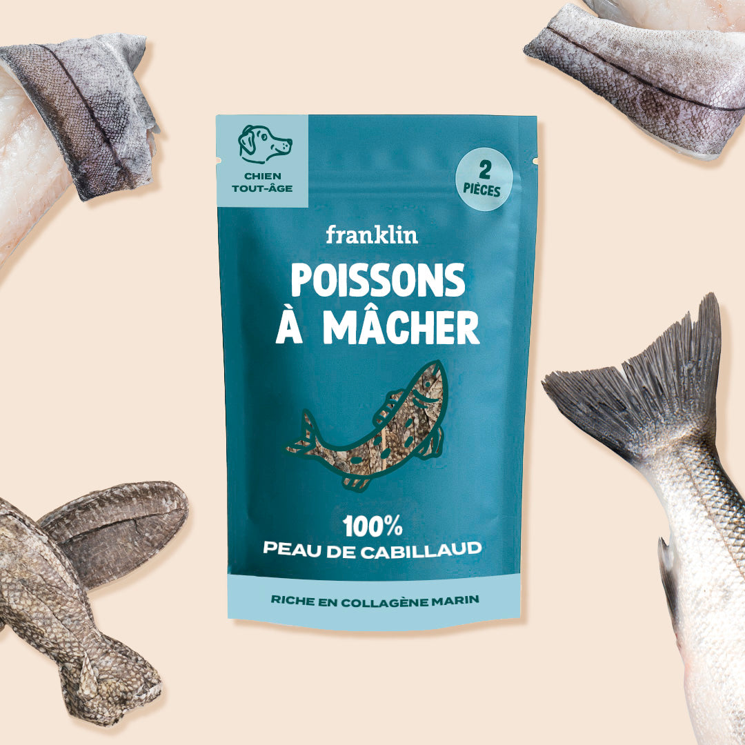 POISSONS À MÂCHER