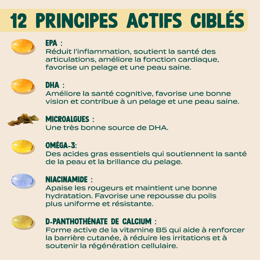 GUMMIES DÉMANGEAISONS