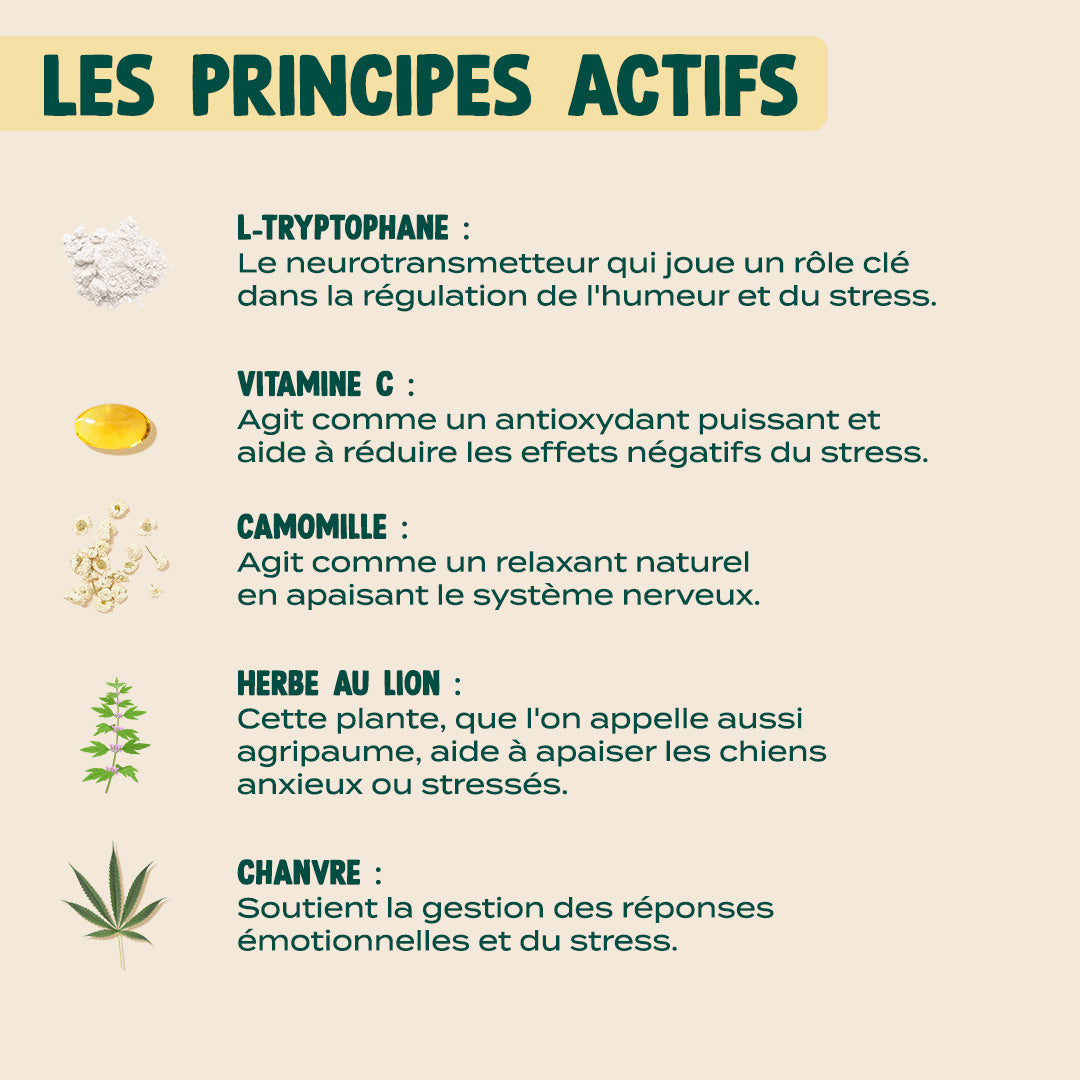 STICKS ANTI-STRESS